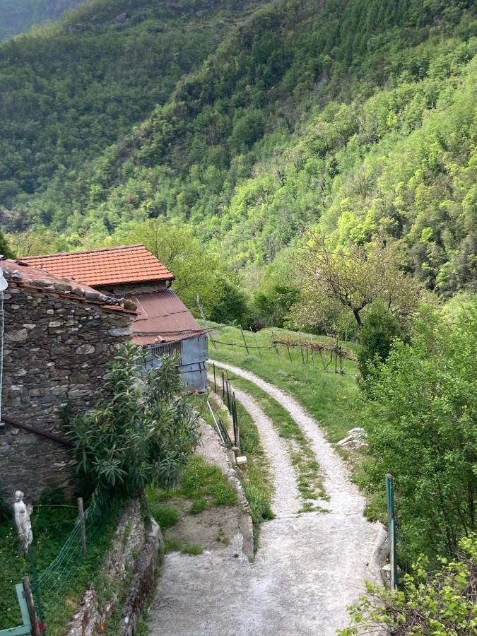 Garessio B&B Ameglia المظهر الخارجي الصورة